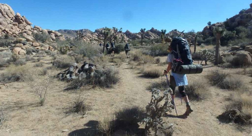 a person carrying a person and using trekking poles hikes in joshua tree national park on an outward bound trip